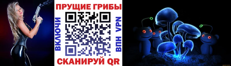 Галлюциногенные грибы Cubensis купить закладку Нарткала